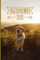 Tageskalender 2020: Terminkalender ca DIN A5 weiß über 370 Seiten I 1 Tag eine Seite I Jahreskalender I Labrador I Hunde 1702083756 Book Cover