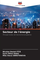 Secteur de l'énergie: Principal moteur de l'économie européenne 6206110745 Book Cover