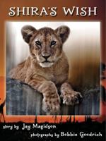 Shira's Wish 0984021310 Book Cover