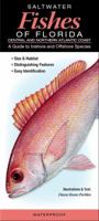 Saltwater Fishes of Florida-Central & Northern Atlantic Coast: A Guide to Inshore & Offshore Species 0982885636 Book Cover