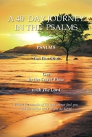 A 40 Day Journey in the Psalms: PSALMS for The Soul Get In the Secret Place with The Lord B0FHBJK8GG Book Cover