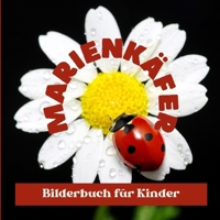 Marienkäfer: Bilderbuch für Kinder (German Edition) B0CRF3J83Y Book Cover
