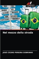 Nel mezzo della strada 6203385581 Book Cover