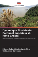 Dynamique fluviale du Pantanal supérieur du Mato Grosso 6205779862 Book Cover