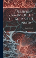 Persistent Remains Of The Foetal Hyaloid Artery 102254716X Book Cover