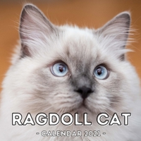 Ragdoll Cat: 2021 Wall Calendar, Cute Gift Idea For Ragdoll Lovers Or Owners Men And Women B08QWYFZXR Book Cover