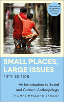 Small Places, Large Issues: An Introduction to Social and Cultural Anthropology (Anthropology, Culture and Society) 0745317723 Book Cover