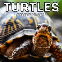 Turtles Calendar 2022: 16-Month Calendar, Cute Gift Idea For Turtle Lovers Women & Men null Book Cover