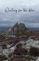 Waiting for the blue B0CQGL7HTQ Book Cover