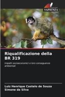 Riqualificazione della BR 319 6207316045 Book Cover