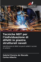 Tecniche NDT per l'individuazione di difetti in piastre strutturali navali (Italian Edition) 6207712404 Book Cover