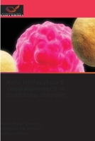 Rola limfocytów T regulatorowych w szpiczaku mnogim (Polish Edition) 6630377486 Book Cover