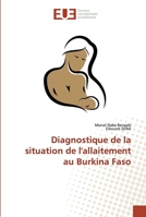 Diagnostique de la situation de l'allaitement au Burkina Faso 6138476646 Book Cover