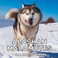 Alaskan Malamutes: 2021 Wall Calendar, Cute Gift Idea For Alaskan Malamute Lovers Or Owners Men And Women B08QWXYD6K Book Cover