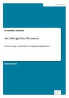 Archaologischer Bernstein 3838666259 Book Cover