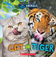 Cat or Tiger (Wild World: Pets and Wild Animals) 1338899783 Book Cover