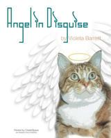 Angel in Disguise 148409221X Book Cover
