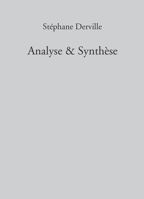Analyse Synthèse (French Edition) B0F8QBRNK7 Book Cover