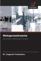 Metaprzestrzenie (Polish Edition) 6202318481 Book Cover
