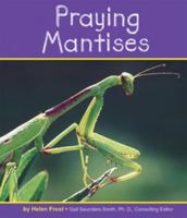 Praying Mantises (Pebble Books) 0736848819 Book Cover