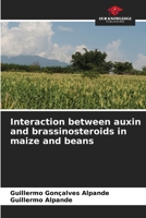 Interaction between auxin and brassinosteroids in maize and beans 6205961997 Book Cover
