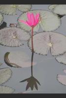 Froggy Jumpin': A collection of poetry and prose 1095144111 Book Cover