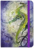 2020 Dragon Weekly Planner (16-Month Engagement Calendar) 1441329633 Book Cover