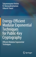 Energy-Efficient Modular Exponential Techniques for Public-Key Cryptography: Efficient Modular Exponential Techniques 3030745236 Book Cover