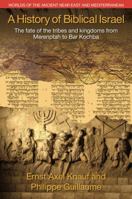 A History of Biblical Israel: The Fate of the Tribes and Kingdoms from Merenptah to Bar Kochba 1781791414 Book Cover