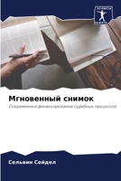 Мгновенный снимок: Современное финансирование судебных процессов 6204140701 Book Cover