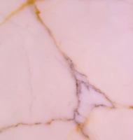 8: 20 in the Lobby 0997844191 Book Cover