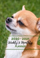 Weekly And Monthly Planner: Organize Your Daily Activities At Home School And Office - Cute Chiwawa Dog 1692362887 Book Cover