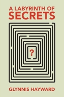 A Labyrinth of Secrets 1736332821 Book Cover