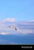 Notebook: M�we, See, Natur, Wasser Notizbuch / pers�nliches Tagebuch / Schreibheft / Logbuch / Planer / Vokabelheft / Notizen - 6 x 9 Zoll (15,24 x 22,86 cm, ca. DIN A5), 110 linierte Seiten mit Datum 1705426514 Book Cover