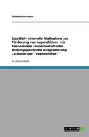 Das BVJ - sinnvolle Maßnahme zur Förderung von Jugendlichen mit besonderem Förderbedarf oder bildungspolitische Ausgliederung „schwieriger" Jugendlicher? 3640935160 Book Cover