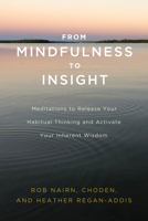 From Mindfulness to Insight: Meditations to Release Your Habitual Thinking and Activate Your Inherent Wisdom 1611806798 Book Cover