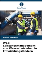 W13: Leistungsmanagement von Wasserbetrieben in Entwicklungsländern 6205903784 Book Cover