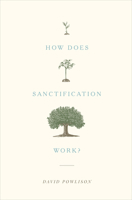 How Does Sanctification Work? 1433556103 Book Cover