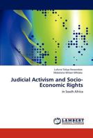 Judicial Activism and Socio-Economic Rights: in South Africa 3848433745 Book Cover