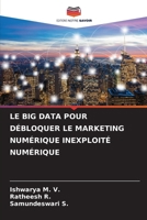 LE BIG DATA POUR DÉBLOQUER LE MARKETING NUMÉRIQUE INEXPLOITÉ NUMÉRIQUE (French Edition) 6207599276 Book Cover