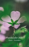 Planificador 2020 Enero - Diciembre: Un Planificador Mensual y Semanal Desde el 1 de enero hasta el 31 de diciembre de 2020, cubre los Calendarios para 2019, 2020, 2021, los Spreads del Calendario Men 1671700813 Book Cover