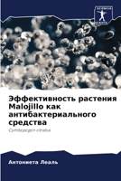 ????????????? ???????? Malojillo ??? ?????????????????? ????????: Cymbopogon citratus (Russian Edition) B0CJ41MJ12 Book Cover