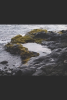 The Puddle Jumpers 169925527X Book Cover