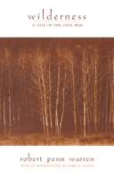 Wilderness: A Tale of the Civil War 0548439907 Book Cover