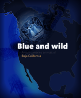 Blue and Wild: Amazing Marine Animals of Baja California 8899180733 Book Cover