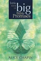 The Little Book of Big Bible Promises 0842373616 Book Cover