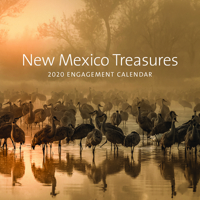 New Mexico Treasures: 2020 Engagement Calendar: 2020 Engagement Calendar 0890136440 Book Cover
