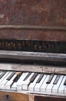 Floored!: The Poetry of Maiche Lev 0997575727 Book Cover