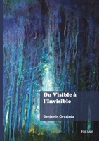 Du Visible à l'Invisible (French Edition) 2414813067 Book Cover