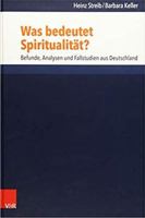 Was Bedeutet Spiritualitat?: Befunde, Analysen Und Fallstudien Aus Deutschland 352560453X Book Cover